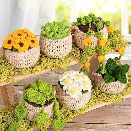 Karsspor Beginner Crochet Kit: 6 Hanging Plant Crafts