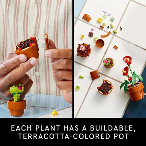 LEGO Icons Tiny Plants Set: Unique Cactus Décor for Adults